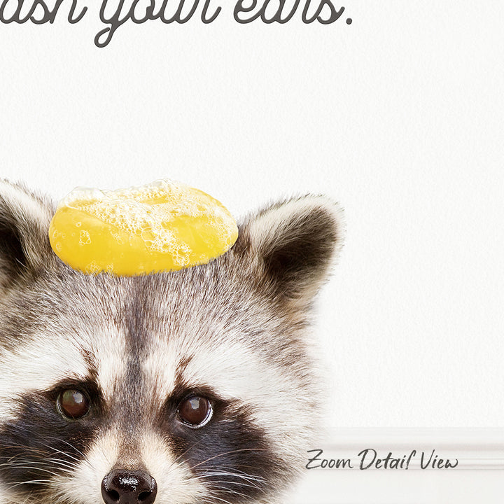 A raccoon wearing a yellow object on its head, with the text "Wash your ears."