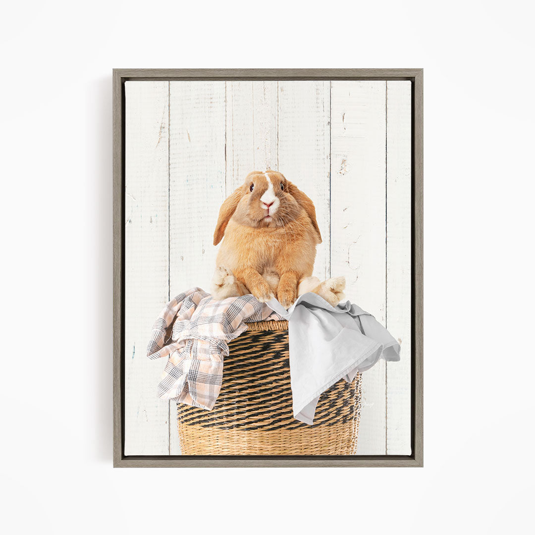 A brown rabbit sitting in a woven basket filled with clothes.