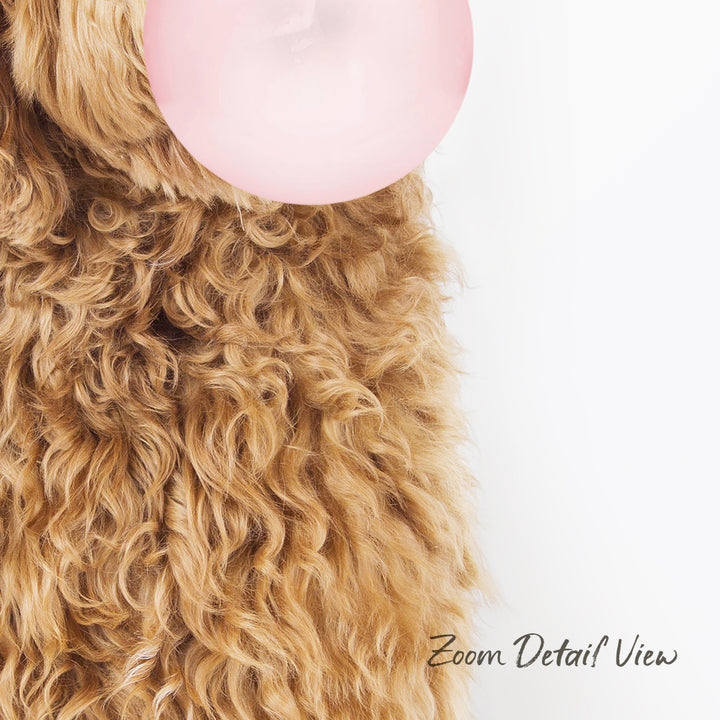 A close-up of a dog's fluffy, curly fur with a pink bubble in the background.