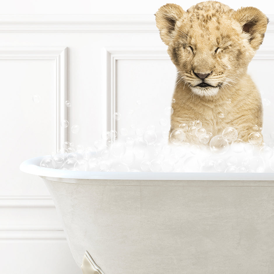 a lion cub sitting in a bathtub full of bubbles