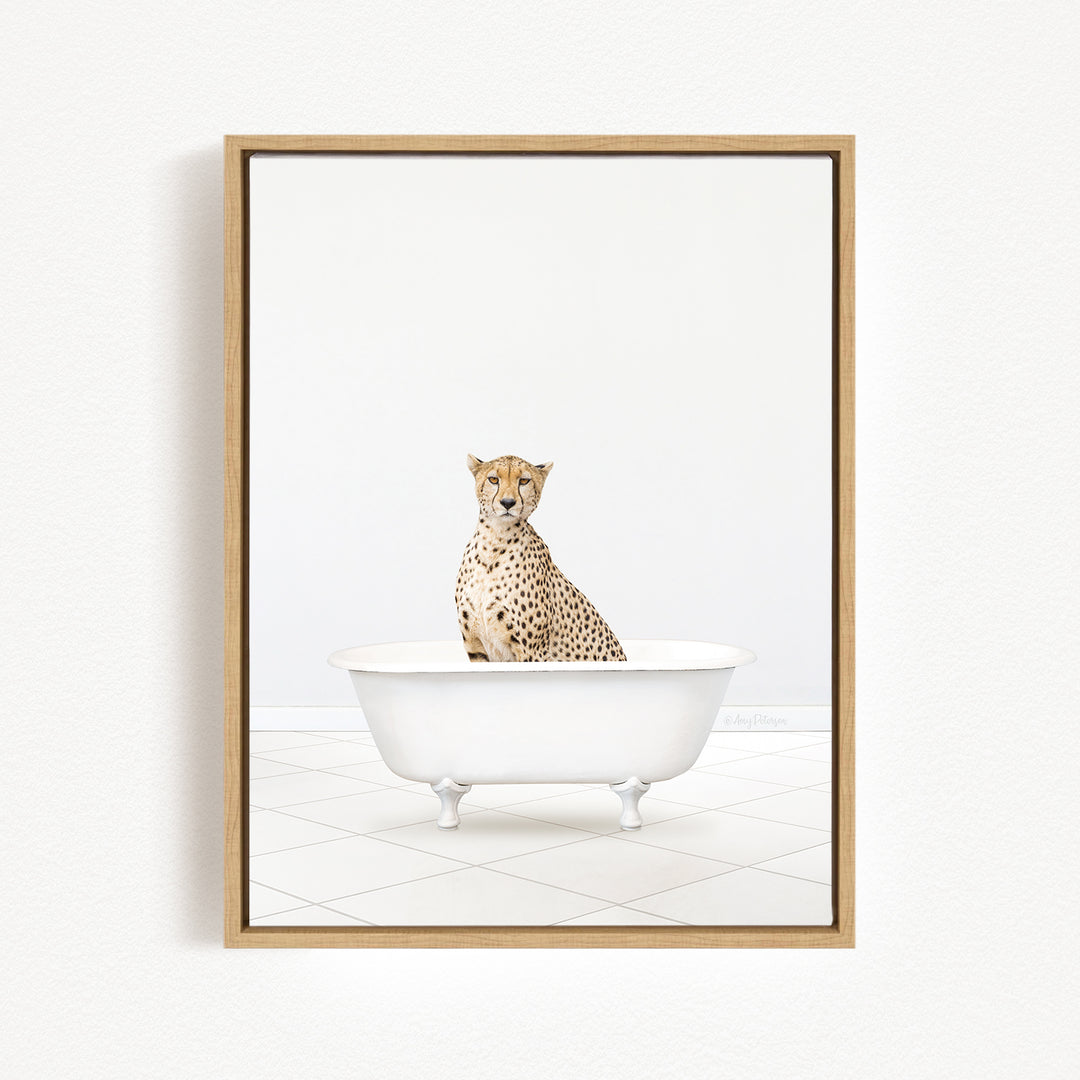 A cheetah sitting in a white bathtub against a white background.