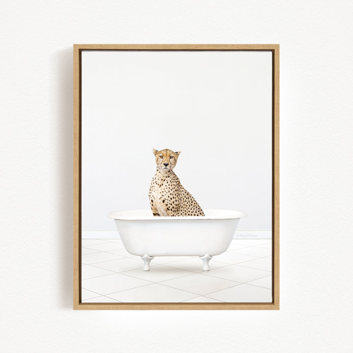 A cheetah sitting in a white bathtub against a white background.