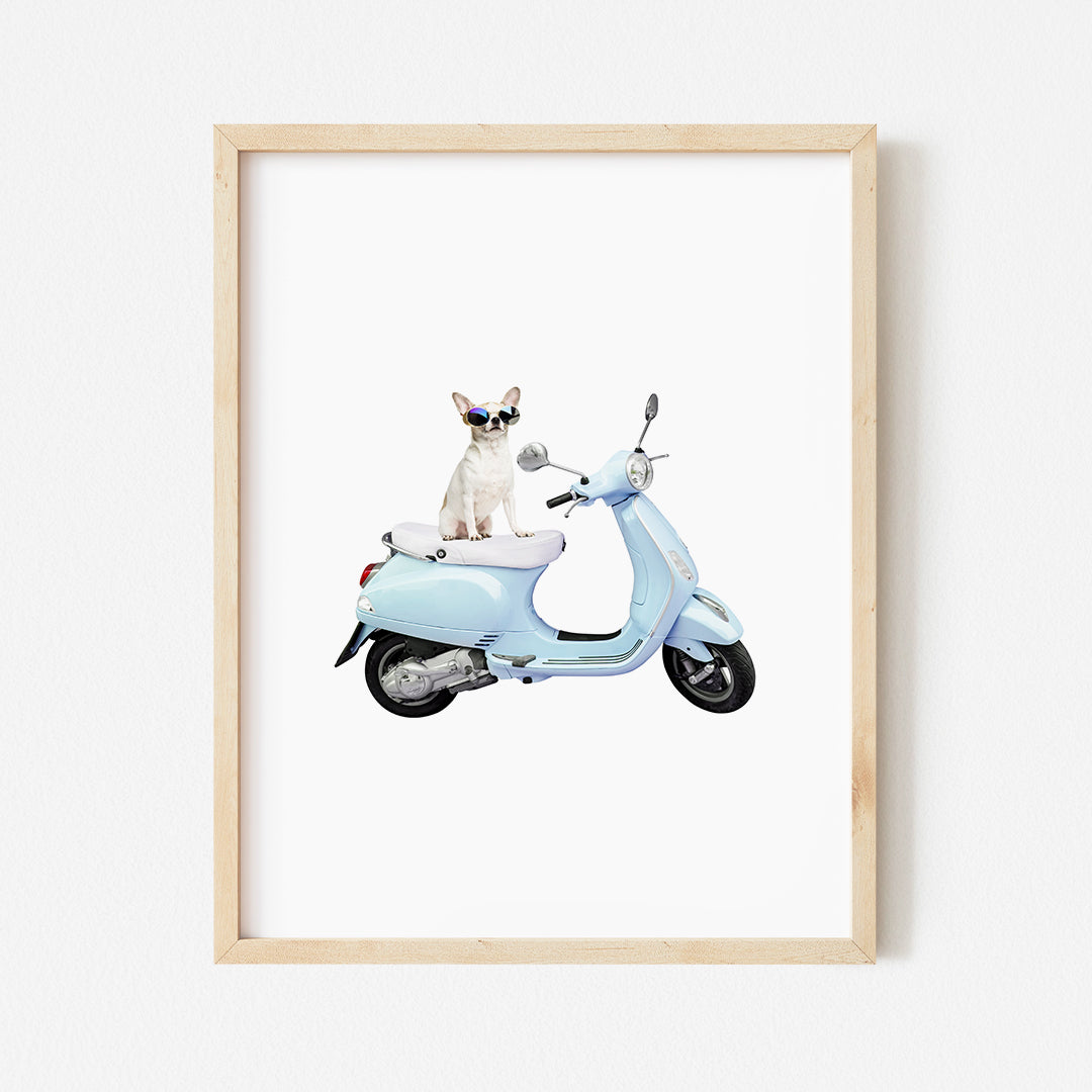 a picture of a dog sitting on a scooter