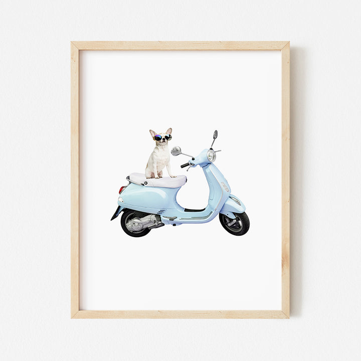 a picture of a dog sitting on a scooter