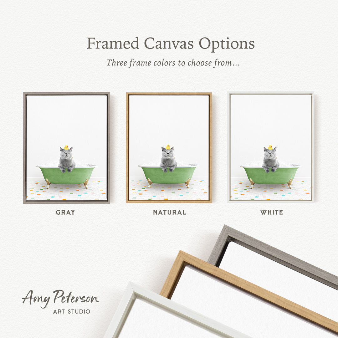 three framed canvas options, each featuring a gray cat sitting in a green bathtub. The options include a gray frame, a natural frame, and a white frame.