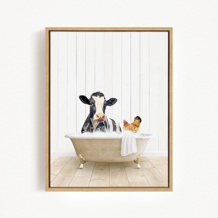 A black and white cow is sitting in a bathtub filled with water, with a chicken sitting on its back.