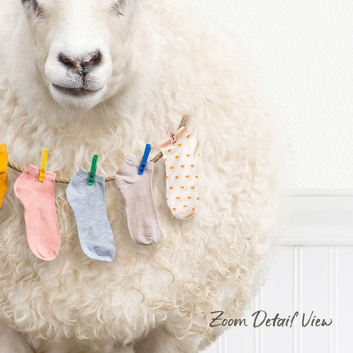 A fluffy white sheep with a pile of colorful socks hanging on a clothesline.