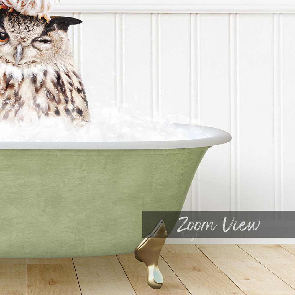A close-up of an owl sitting in a green bathtub filled with water, with the text "Zoom View" visible.