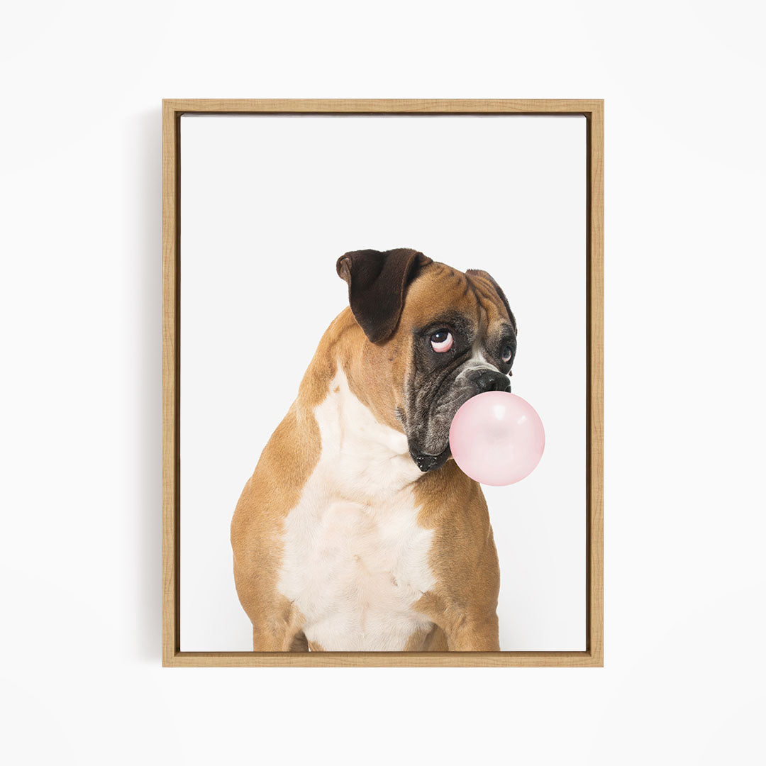 A brown and white dog is blowing a pink bubble with its mouth, creating a playful and whimsical scene.