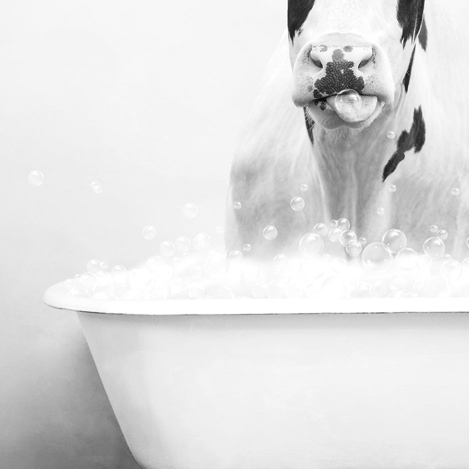 a black and white photo of a cow in a bathtub