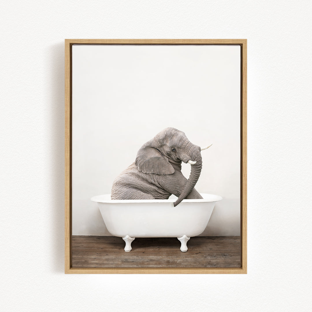 A gray elephant sitting in a white bathtub against a plain white background.