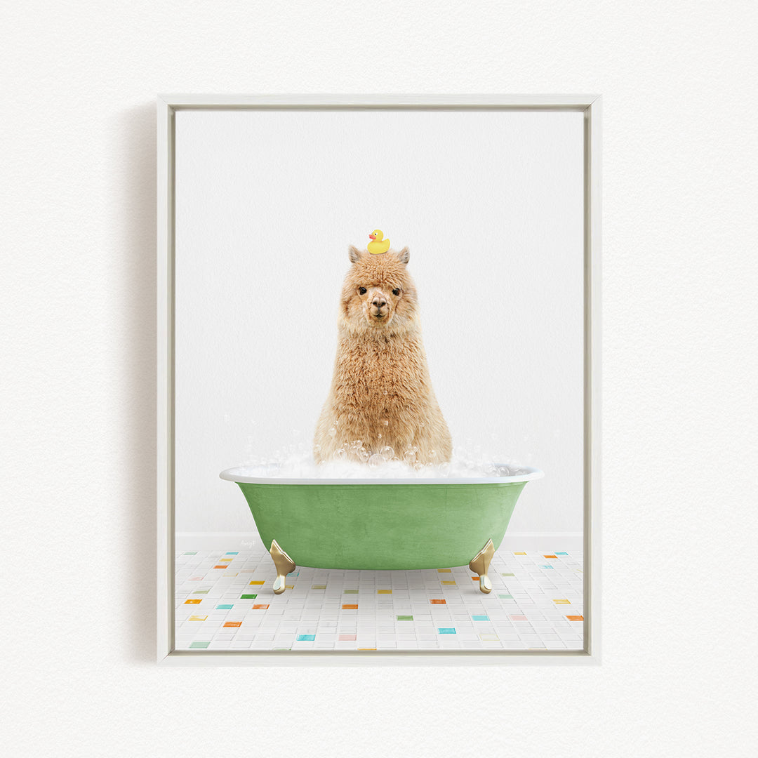 A fluffy brown dog is sitting in a green bathtub filled with bubbles, with a yellow rubber duck perched on its head.