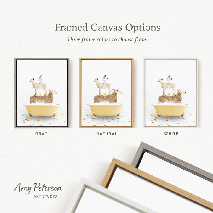 three framed canvas options, each featuring a different color: gray, natural, and white. The text above the images reads " Framed Canvas Options" and "Three frame colors to choose from...". The bottom of the image includes the text " Amy Peterson ART STUDIO".