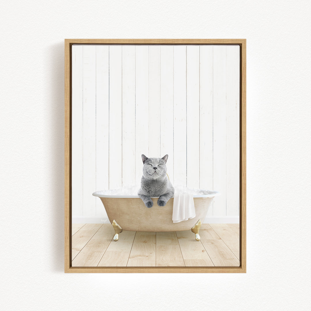 A gray cat sitting in a bathtub filled with water, with a towel draped over the side.