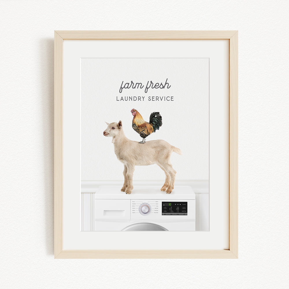 a white washing machine with a goat and a rooster standing on top of it, along with the text "farm fresh Laundry Service" displayed above the machine.