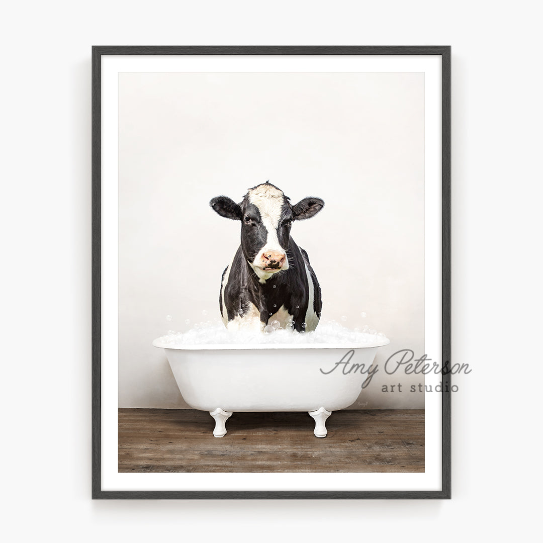 a black and white cow sitting in a bathtub