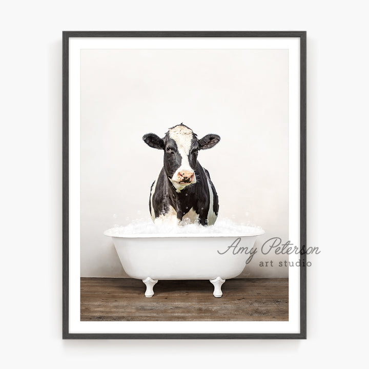 a black and white cow sitting in a bathtub