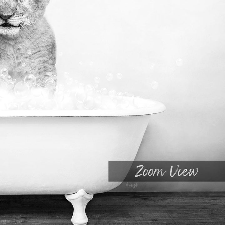 A cat standing in a bathtub filled with bubbles, with the text "Zoom View" and "Amyl" written below the image.