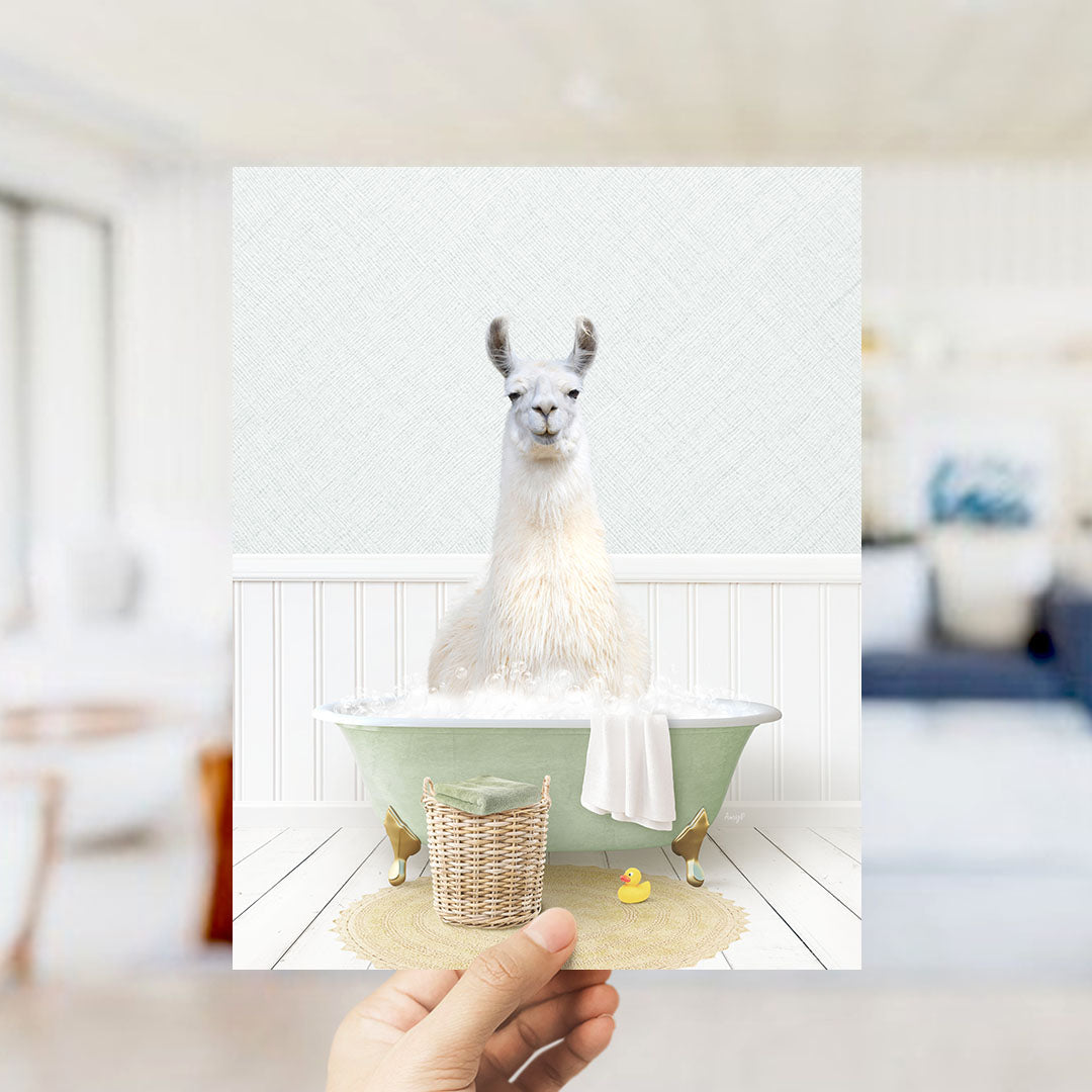 A white llama sitting in a green bathtub filled with bubbles, with a yellow rubber duck nearby.