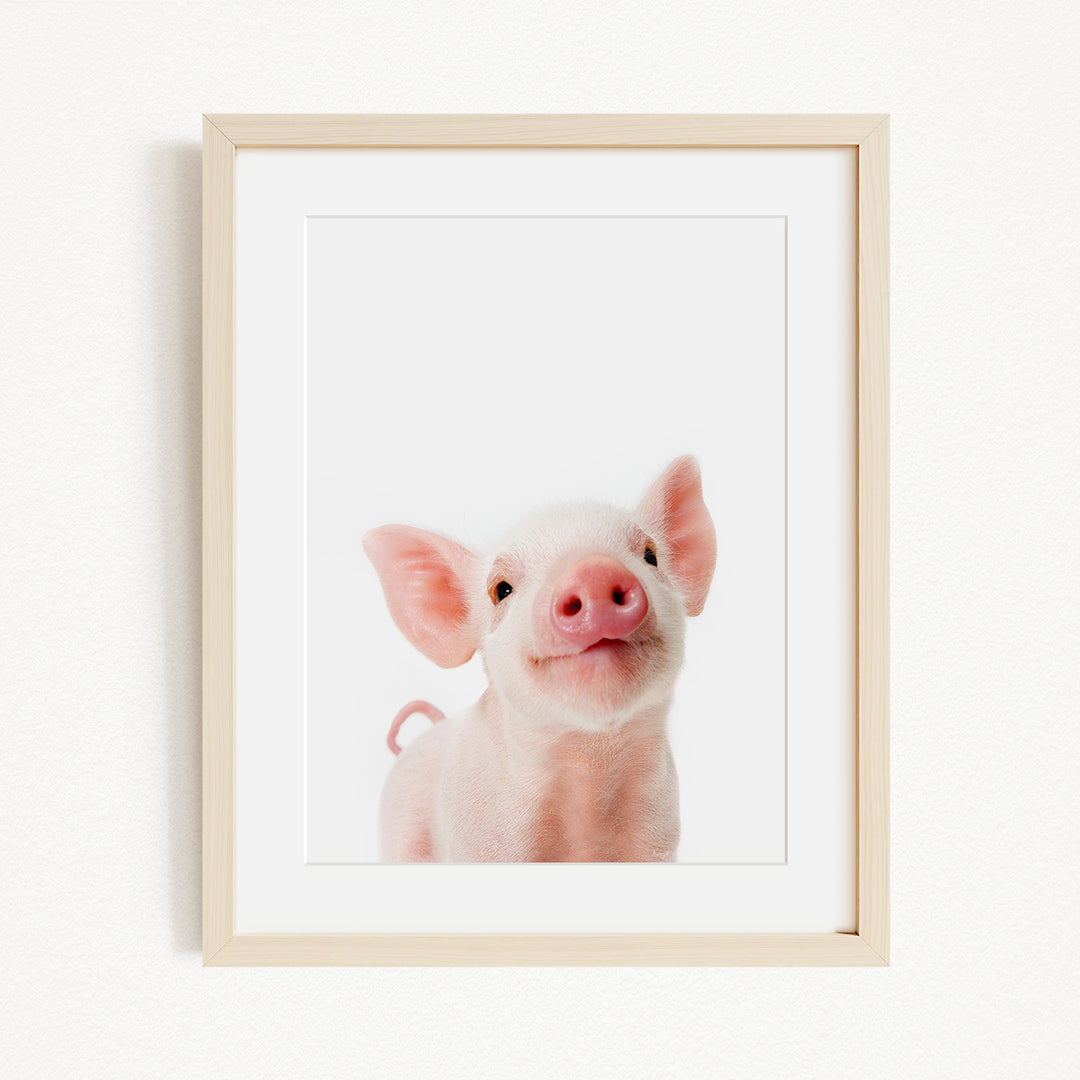 A cute, pink pig with large ears and a pink nose is the main subject of the framed image.