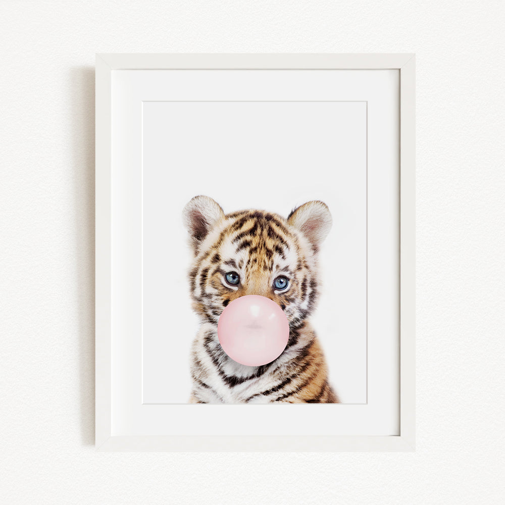 A young tiger cub blowing a bubble with a pink bubble gum bubble.