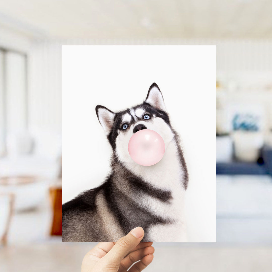 A hand is holding up a photograph of a husky dog blowing a bubble with a pink bubble gum bubble.