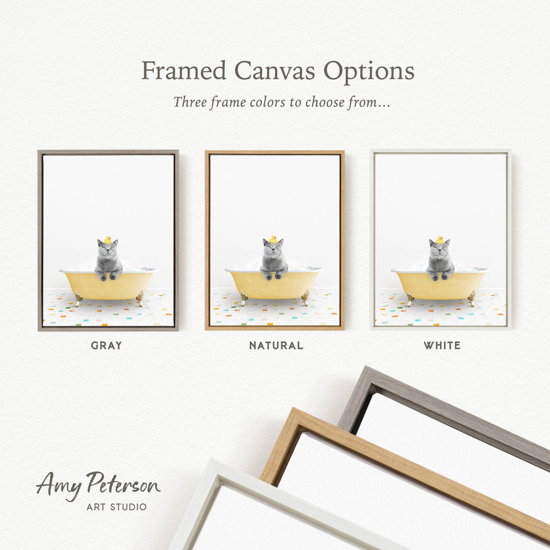 three framed canvas options, each featuring a gray cat sitting in a bathtub with a yellow crown on its head. The options are labeled with the colors gray, natural, and white.