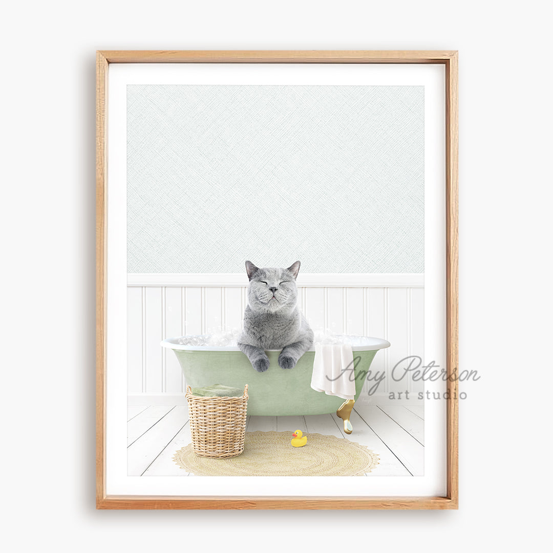 a gray cat sitting in a green bath tub