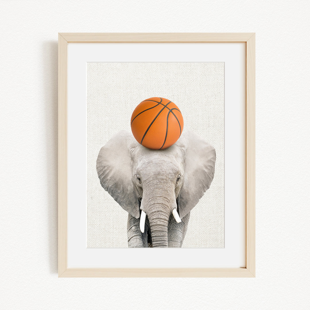 A gray elephant with a basketball resting on its head, creating a playful and whimsical scene.