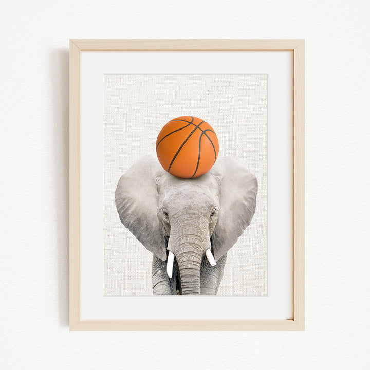 A gray elephant with a basketball resting on its head, creating a playful and whimsical scene.