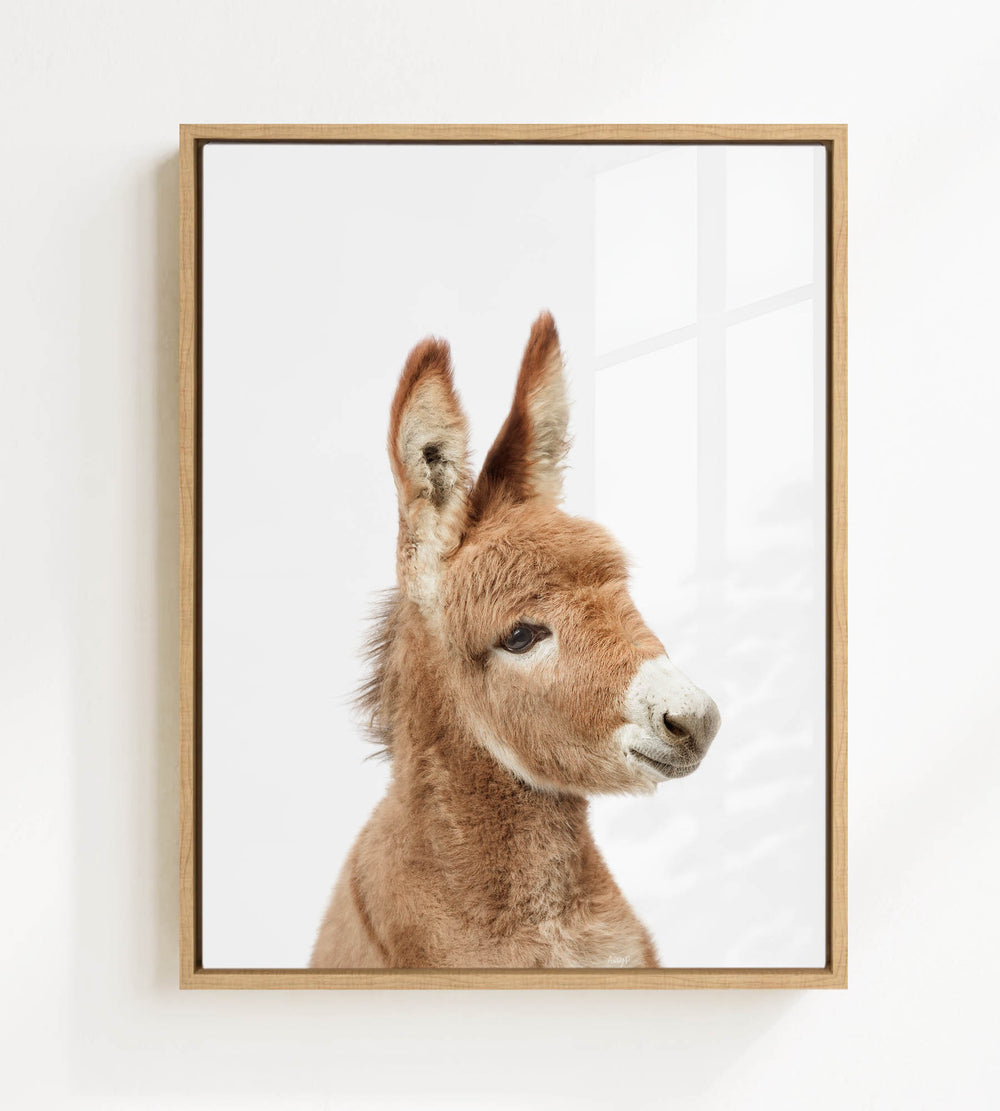 A brown donkey with large ears and a white nose is the focus of the image, which is framed and displayed on a white wall.