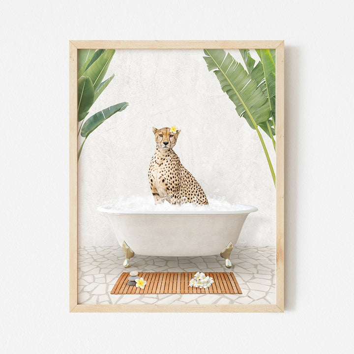 a picture of a cheetah sitting in a bathtub