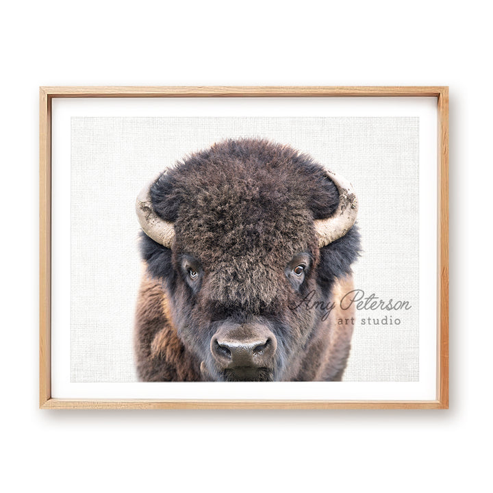 a picture of a bison with horns on it's head