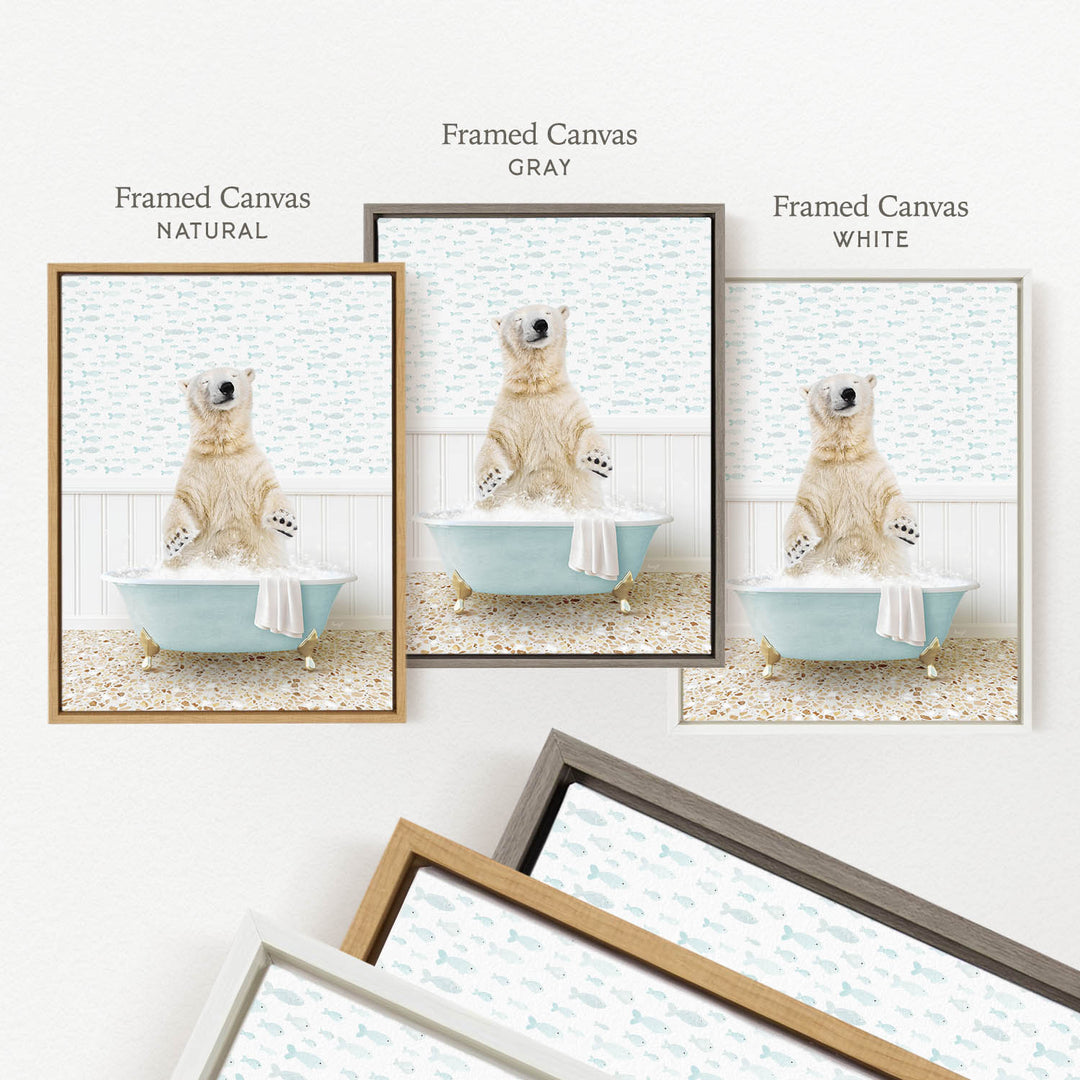 three framed pictures of a polar bear sitting in a bathtub, each with a different colored frame.