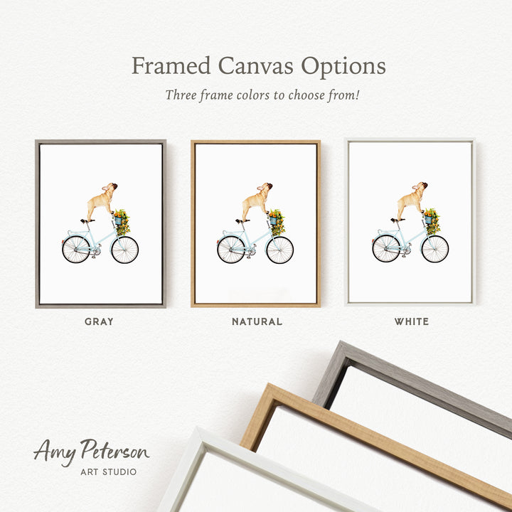 three framed canvas options, each featuring a different color of frame: gray, natural, and white. The text above the images reads " Framed Canvas Options" and below the images, it says "Three frame colors to choose from!".