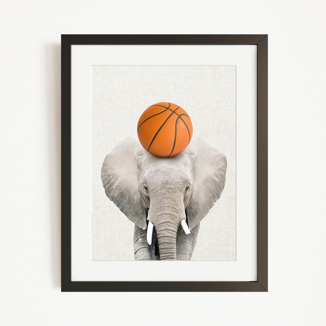 A gray elephant with a basketball resting on its head, set against a plain white background.