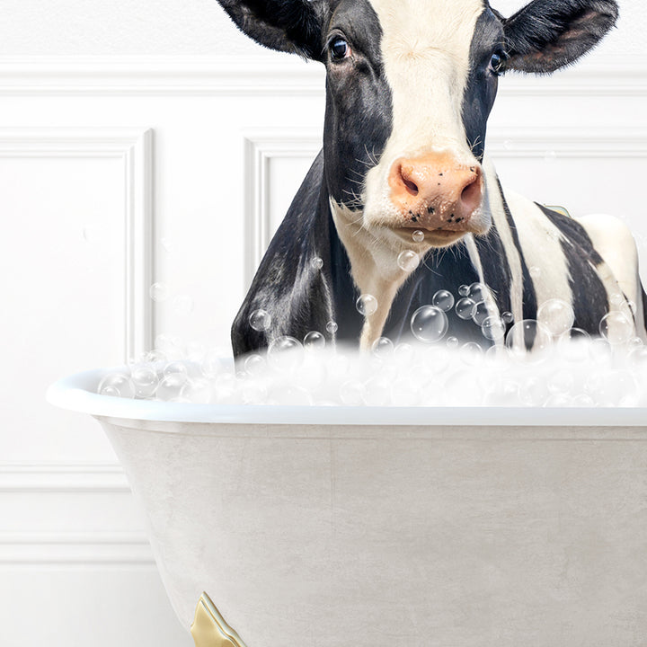 a black and white cow sitting in a bath tub