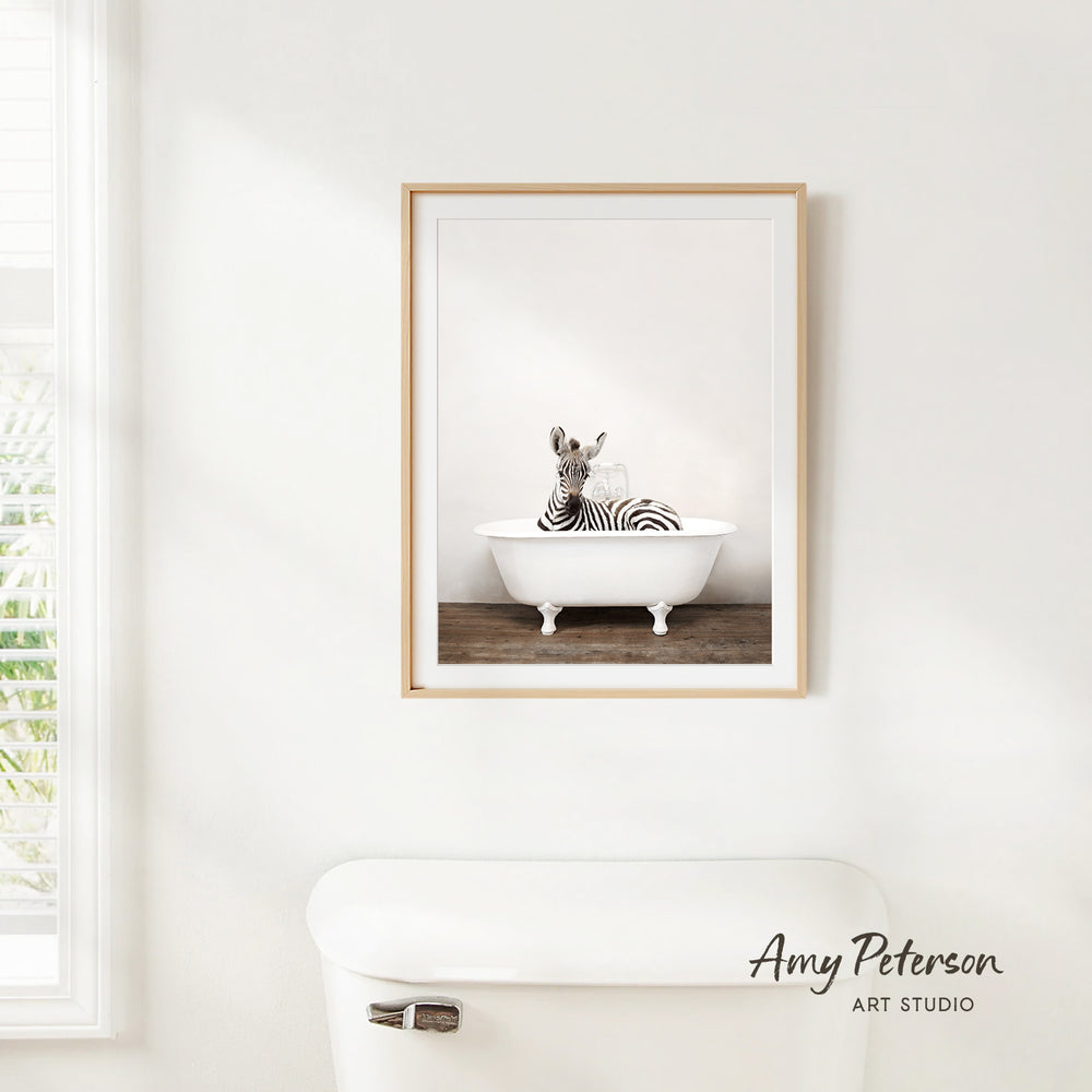 A framed image of a zebra sitting in a white bathtub is hanging on a white wall.