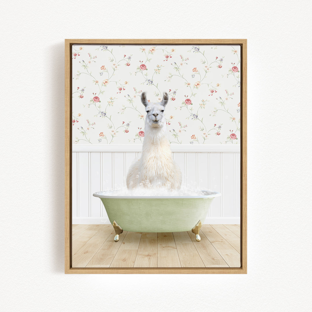 A white llama sitting in a green bathtub filled with water, with a floral wallpaper in the background.