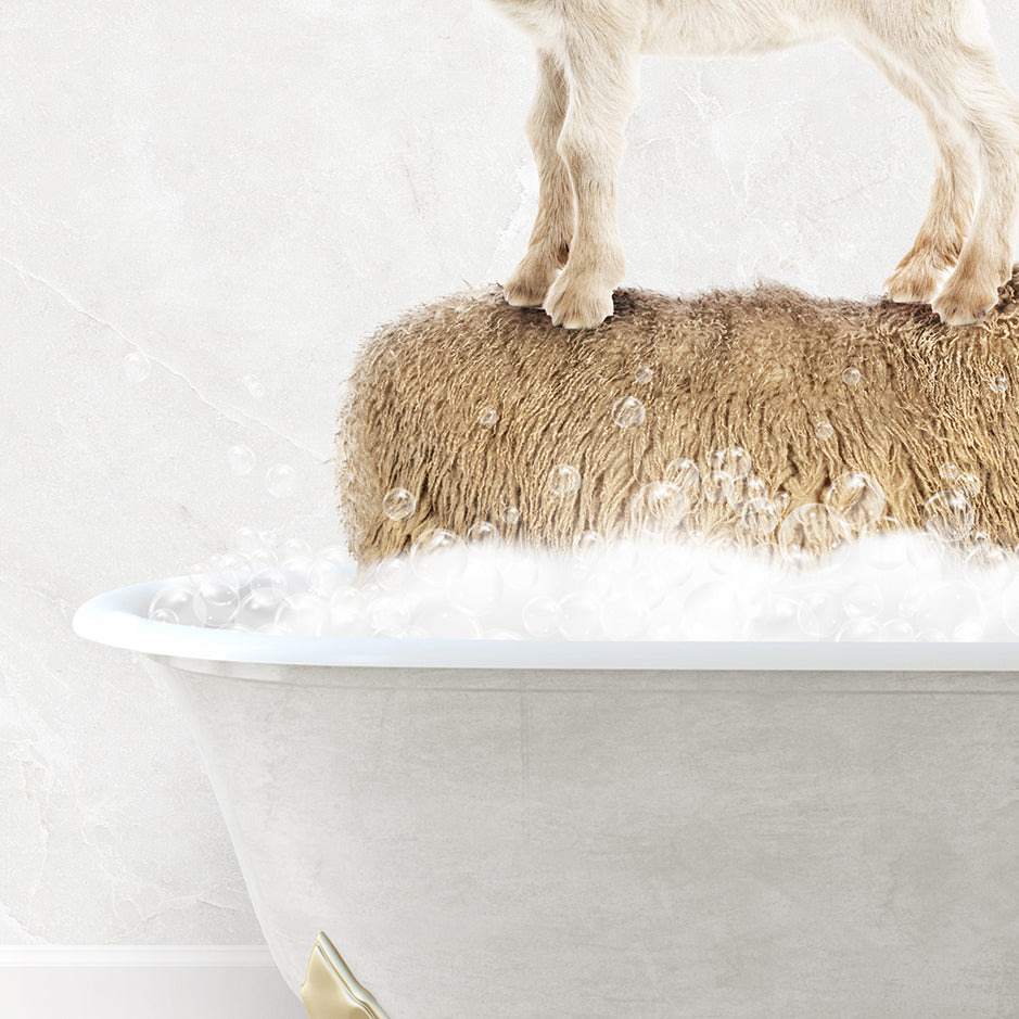 a goat standing on top of a bathtub filled with foam