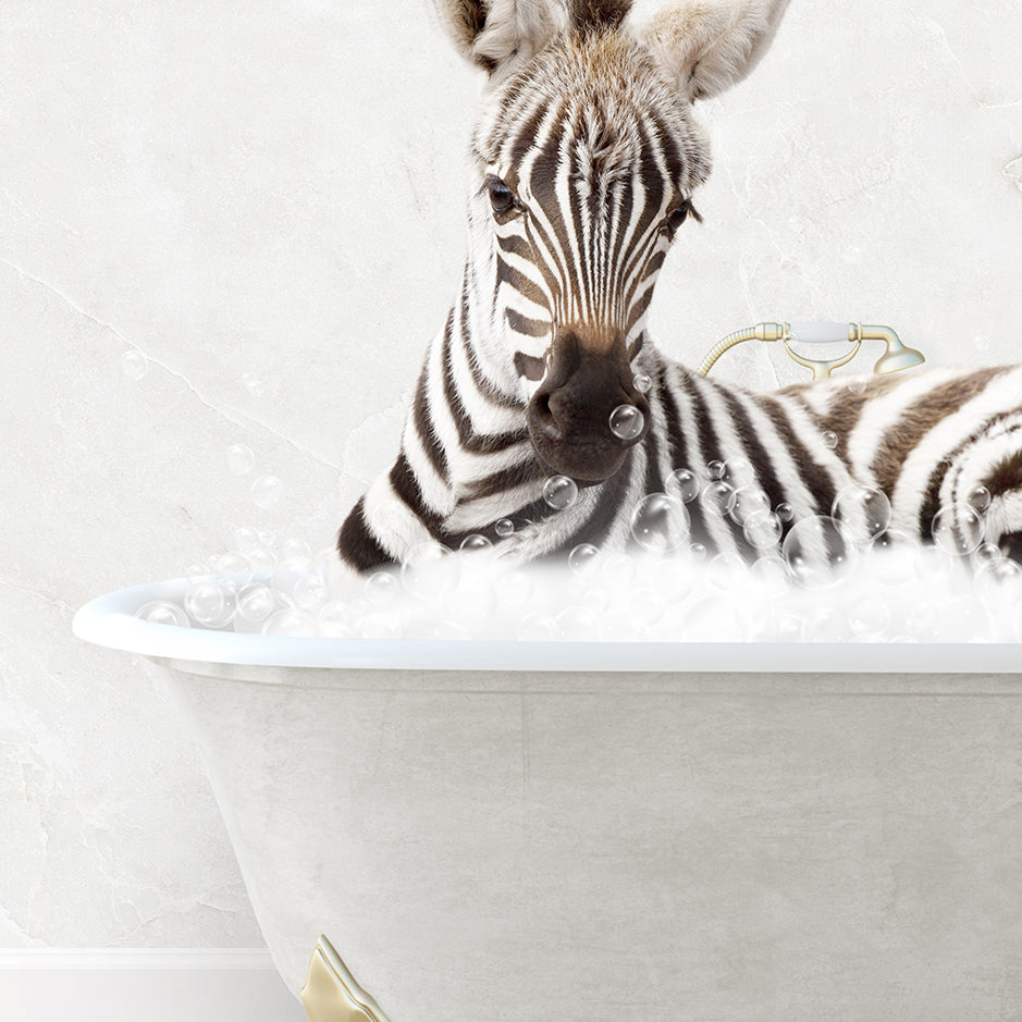 a baby zebra laying in a bath tub