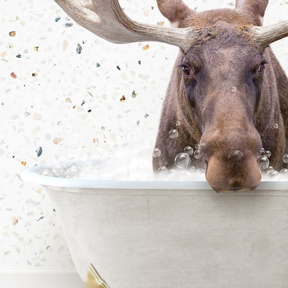 a moose sticking its head out of a bathtub