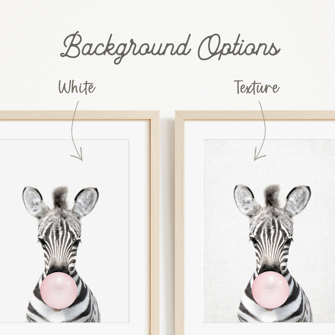 a zebra blowing a bubble with a pink bubble gum bubble.