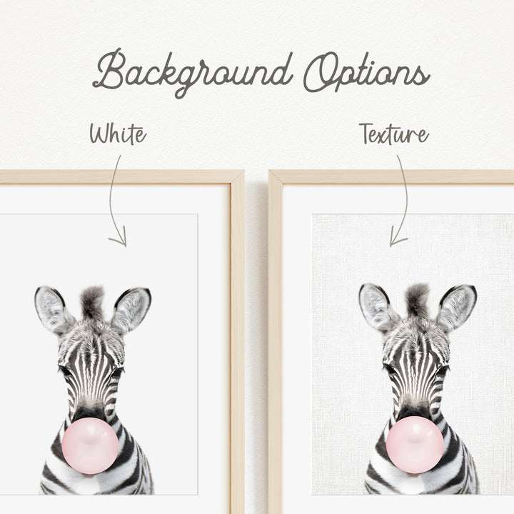 a zebra blowing a bubble with a pink bubble gum bubble.