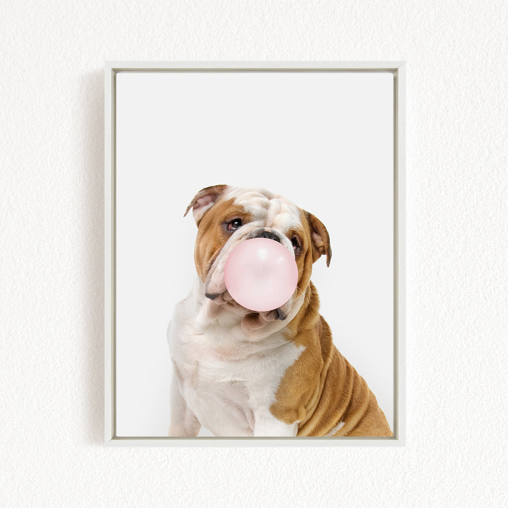 A brown and white bulldog is blowing a pink bubble with its mouth, creating a playful and adorable scene.