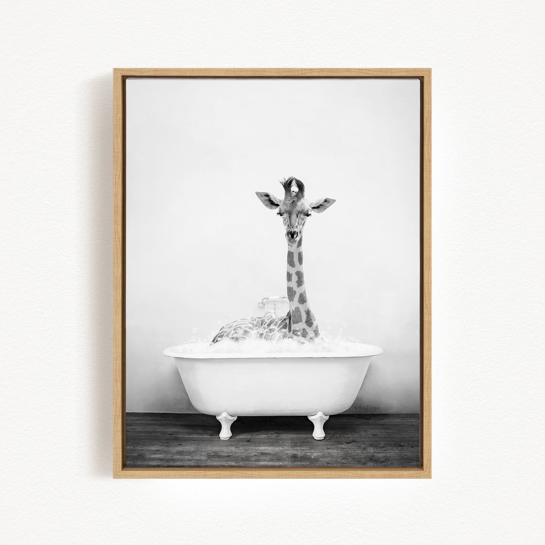 A giraffe sitting in a white bathtub filled with water, creating a whimsical and playful scene.