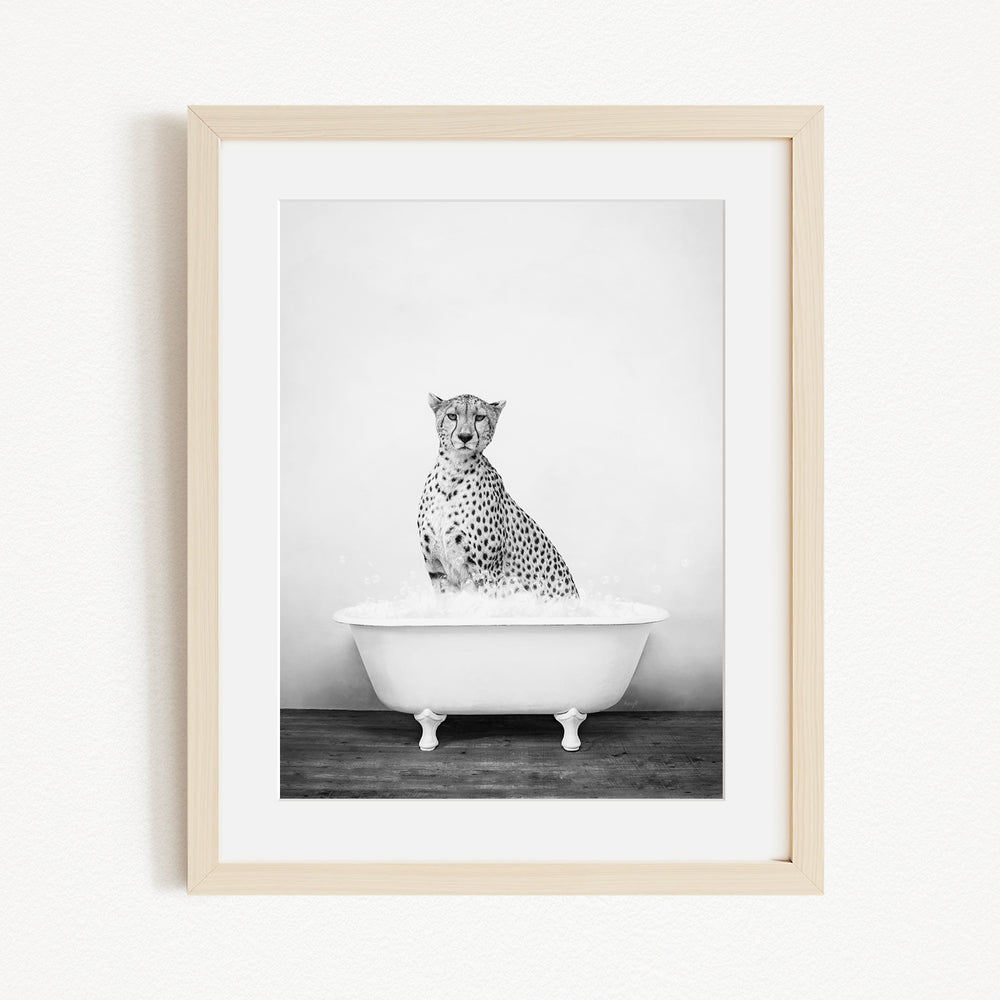 A cheetah sitting in a white bathtub filled with water, creating a striking and unusual scene.