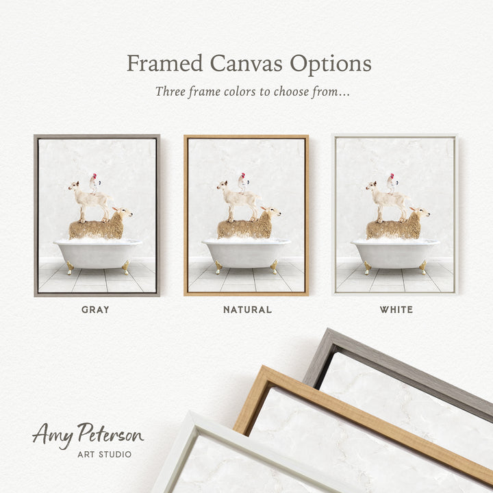 three framed canvas options, each featuring a different color: gray, natural, and white. The text above the images reads " Framed Canvas Options" and "Three frame colors to choose from...". The text below the images reads "Grays", "Naturals", and "Whites". The artist's name, Amy Peterson, is also mentioned at the bottom of the image.