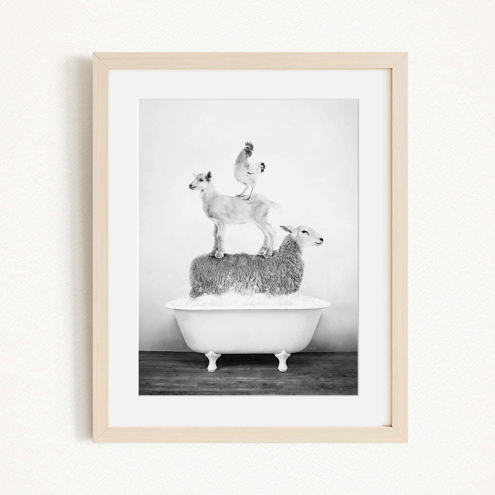 A black and white image of a sheep standing on top of a bathtub, with a rooster perched on the sheep's back.