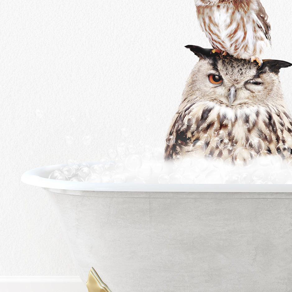 an owl sitting on top of a bathtub filled with bubbles